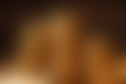 Фотографія квест-анімації Золотая лихорадка від компанії QuestHub (Фото 1)