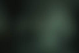 Фотографія квесту Пропавший лесничий від компанії Kids Quest (Фото 1)